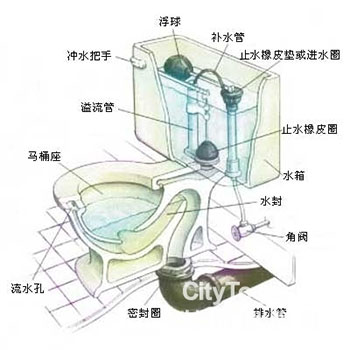 虹吸式马桶结构图及原理,马桶堵了怎么办?