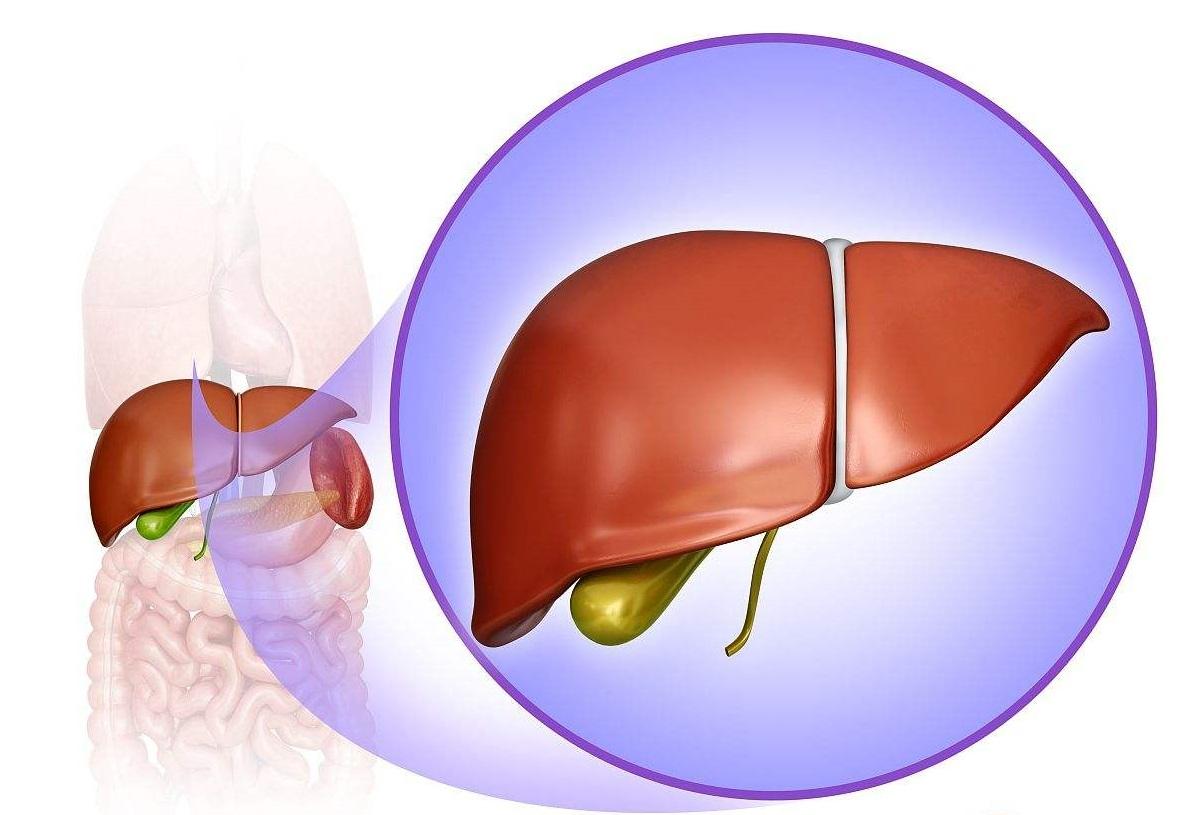 肝功能不好的症状有哪些?护肝方法有哪些呢?